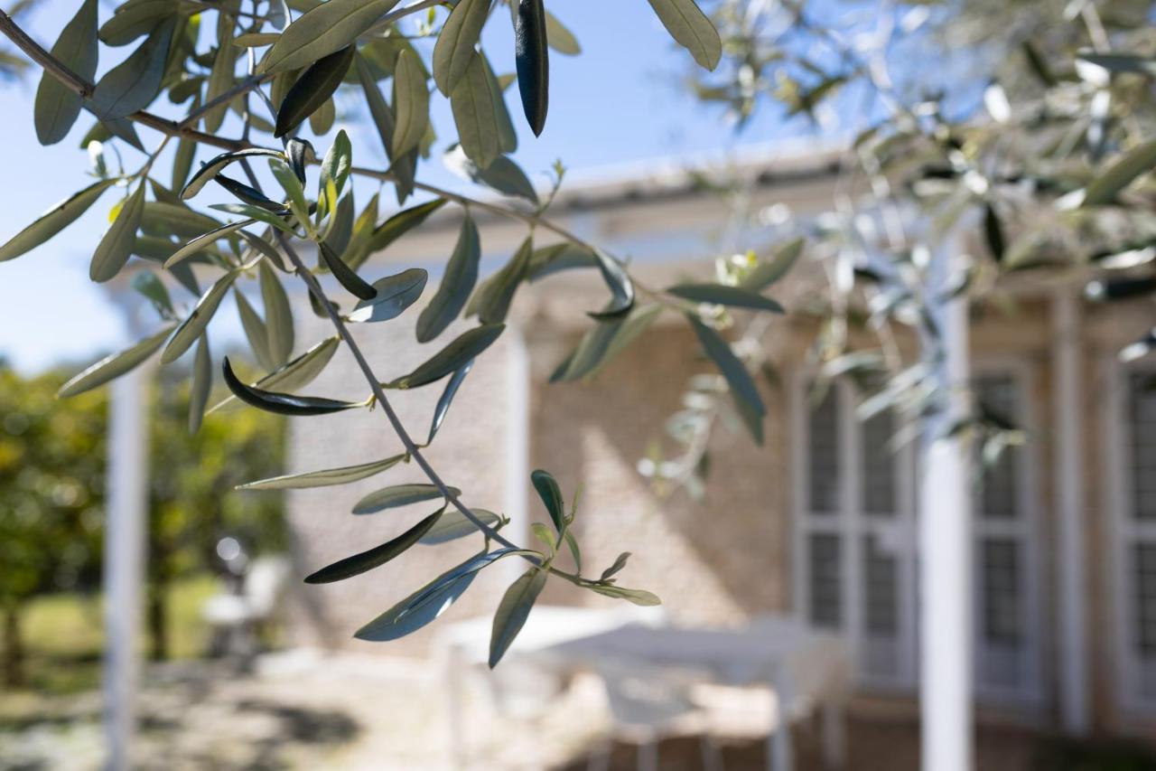 B&B Samarelle - Exclusive Villa With Garden And Panoramic Terrace - Molfetta Kültér fotó
